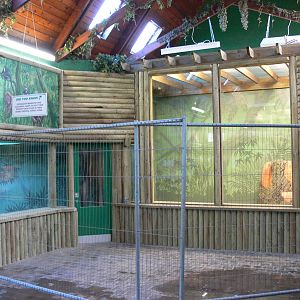 Small Primate House Construction at Blackpool Zoo, 09/12/12
