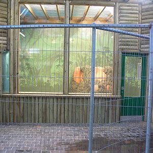 Small Primate House Construction at Blackpool Zoo, 09/12/12