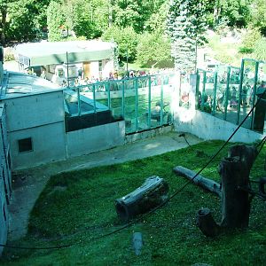 Chimp Enclosure at Liberec, 28/08/12