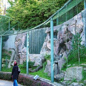 Owl Aviaries at Liberec, 28/08/12