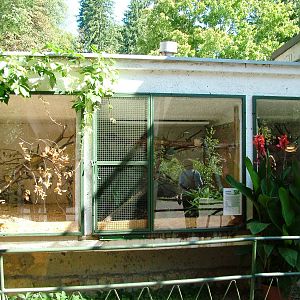 Pygmy Marmoset Enclosures at Liberec, 28/08/12