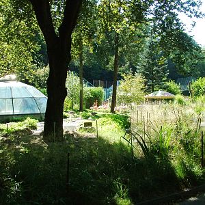 Flamingo Pool at Liberec, 28/08/12