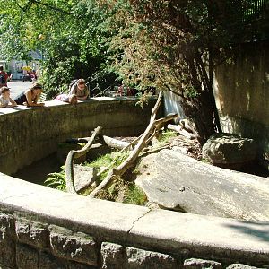 Porcupine Exhibit at Liberec, 28/08/12