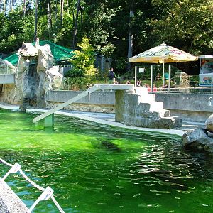 Sea Lion Pool at Liberec, 28/08/12