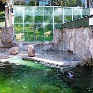 Sea Lion Pool at Liberec, 28/08/12