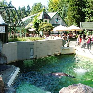 Sea Lion Pool at Liberec, 28/08/12