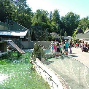 Sea Lion Pool at Liberec, 28/08/12