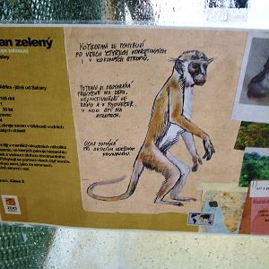 Signage Example at Liberec, 28/08/12