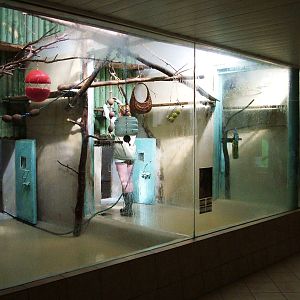 Monkey Exhibits at Liberec, 28/08/12