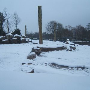 Elephant Paddock in Snow
