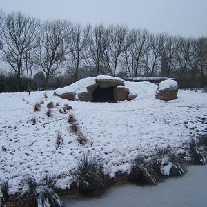 View of Hunting Dog enclosure in snow