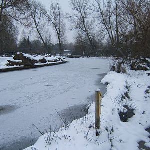 View of canal by the exit of the Butterfly House