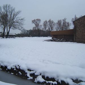 View of Giraffe paddock in snow
