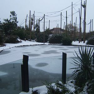View of Chimp islands in snow