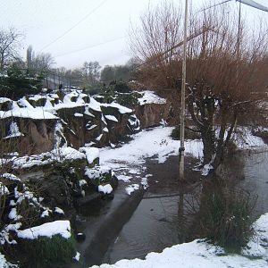View of Europe on the Edge Aviary in snow