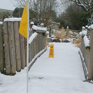 Miniature golf in the snow Chester Zoo 2013