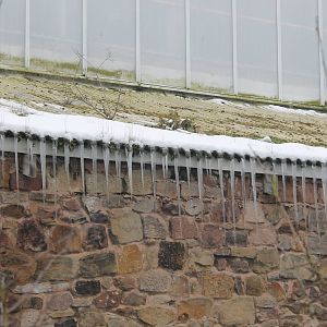 Tropical Realm Chester Zoo 2013