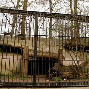 Brownbear enclosure at Lübeck (now closed)