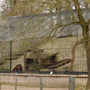 Brownbear enclosure at Lübeck (now closed)
