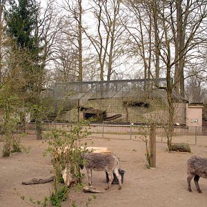 Brownbear enclosure at Lübeck (now closed)