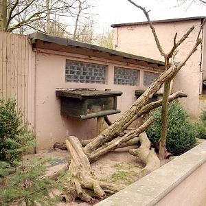 Ferretenclosure at Lübeck (now closed)