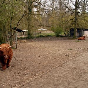 Bovine enclosure at Lübeck (now closed)