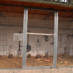 Mice exhibit at Lübeck (now closed)