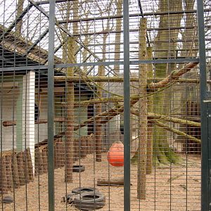 Chimpanzee exhibit at Lübeck (now closed)