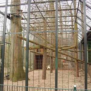 Chimpanzee exhibit at Lübeck (now closed)