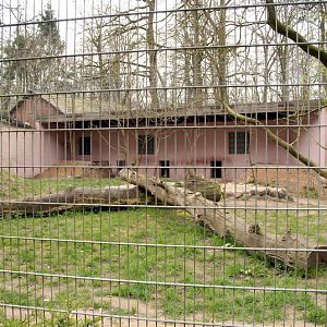 Big cats enclosure at Lübeck (now closed)