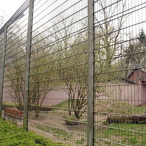 Big cats enclosure at Lübeck (now closed)