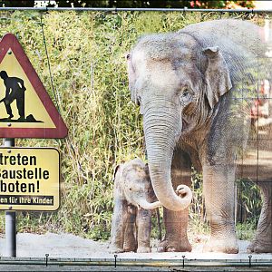 Fence around the elephant house at Hellabrunn, München
