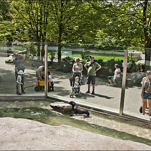 Sealionpool at Hellabrunn, München