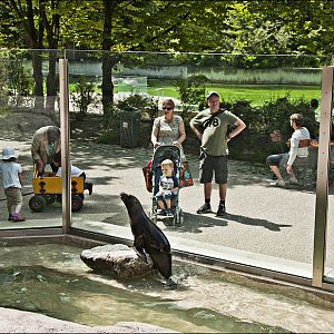 Sealionpool at Hellabrunn, München