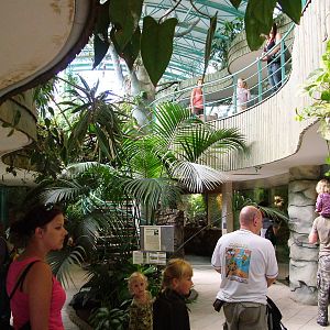 Tropical House Interior at Liberec, 28/08/12