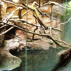 Vivarium at Liberec, 28/08/12