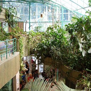 Tropical House Interior at Liberec, 28/08/12