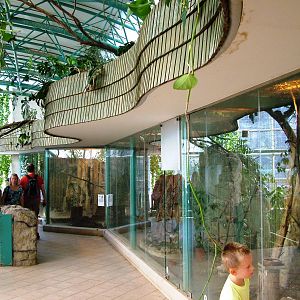 Tropical House Interior at Liberec, 28/08/12