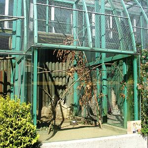 Kea Aviary at Liberec, 28/08/12