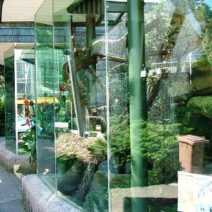 Genet Exhibit at Liberec, 28/08/12