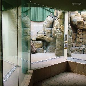 Indoor Tiger Dens at Liberec, 28/08/12