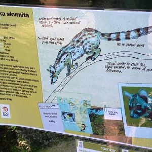 Signage Example at Liberec, 28/08/12