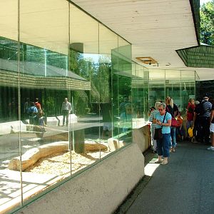 Tiger Enclosures at Liberec, 28/08/12