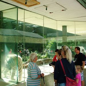 Tiger Enclosures at Liberec, 28/08/12