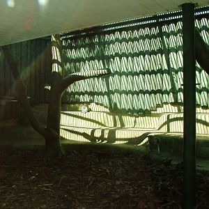 Monkey Exhibit at Liberec, 28/08/12