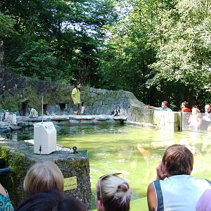 Penguin Pool at Liberec, 28/08/12