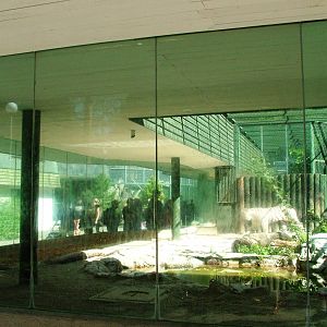 Tiger Enclosures at Liberec, 28/08/12