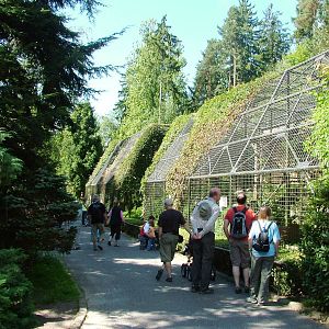 Bird of Prey Aviaries at Liberec, 28/08/12