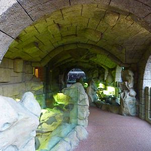 Terrarium, December 2012