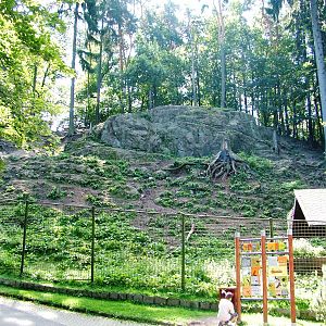 Bharal Enclosure at Liberec, 28/08/12